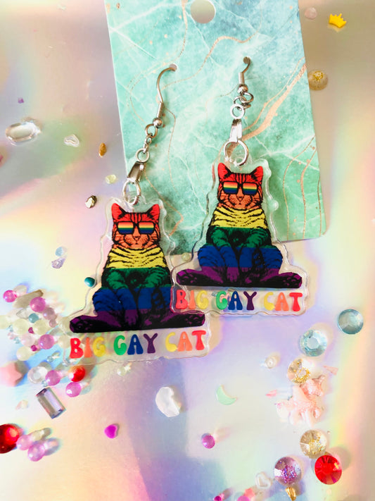 Rainbow Cat Earrings